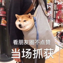 沙雕背景图笑到头秃哈哈哈