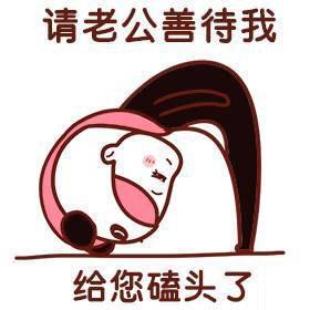 给老公鞠躬的表情包老公好给我发红包请我吃饭