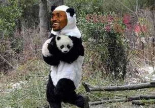 nba球星与大熊猫合影奥尼尔表情搞怪,阿泰与熊猫合影网友笑了