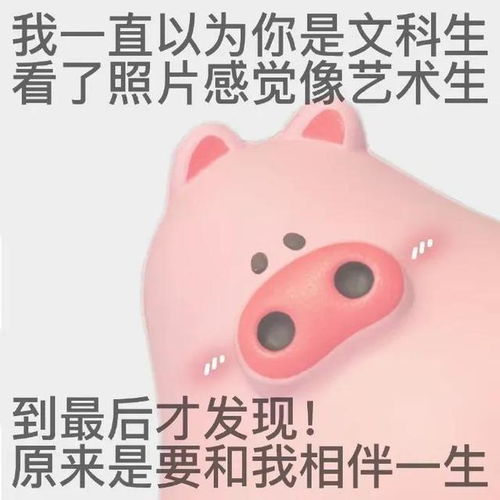 粉色猪猪恶搞表情包
