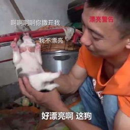揭秘华农兄弟爆红的原因这个读者好漂亮,我们把她