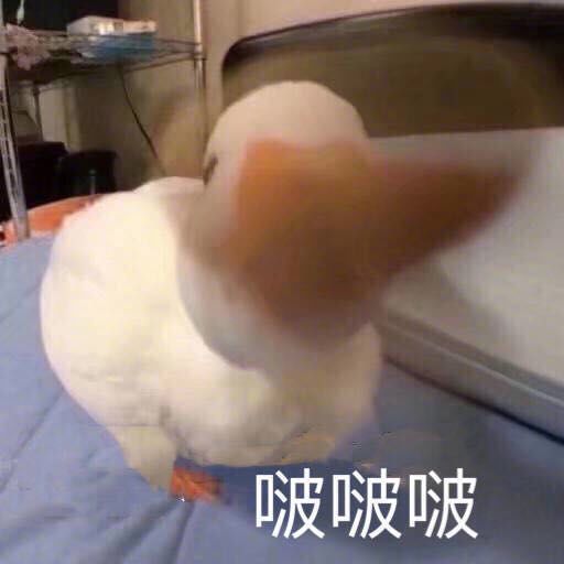 天谕第二季玄极小洛帅气回归