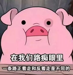 路痴眼中的世界是怎样的