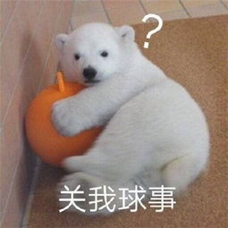 一脸冷漠表情包图片冷漠的聊天表情包大全