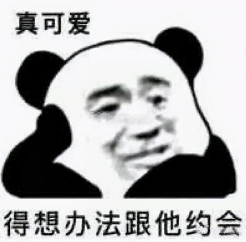 既沙雕又搞怪的文案