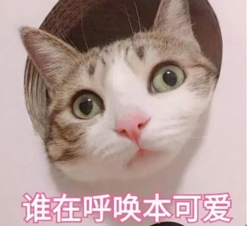 告别游戏荒switch上好玩不贵的7款游戏