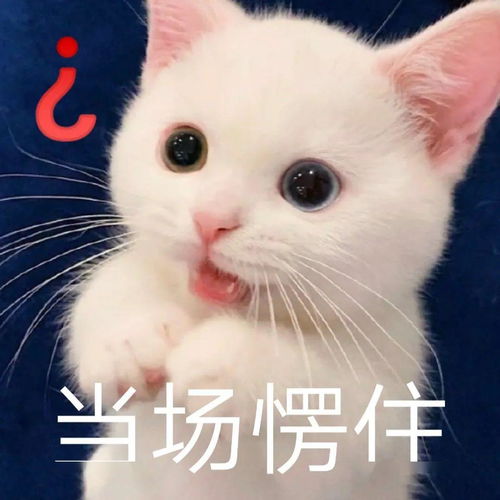 表情sir5.30