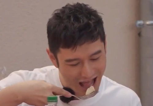 黄晓明听信苏有朋的话吃了臭芝士,被熏出表情包你有吃过没