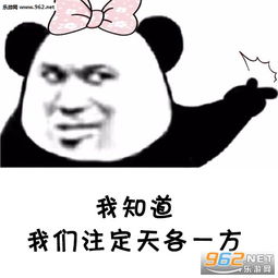 感谢表情包搞笑图片感恩之旅