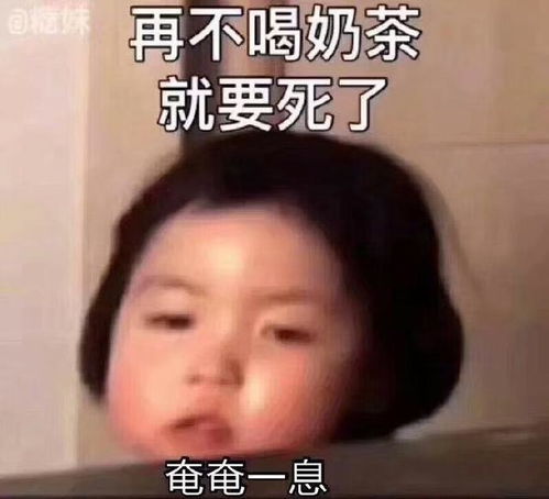 罗熙表情包合集墨镜一带,谁都不爱
