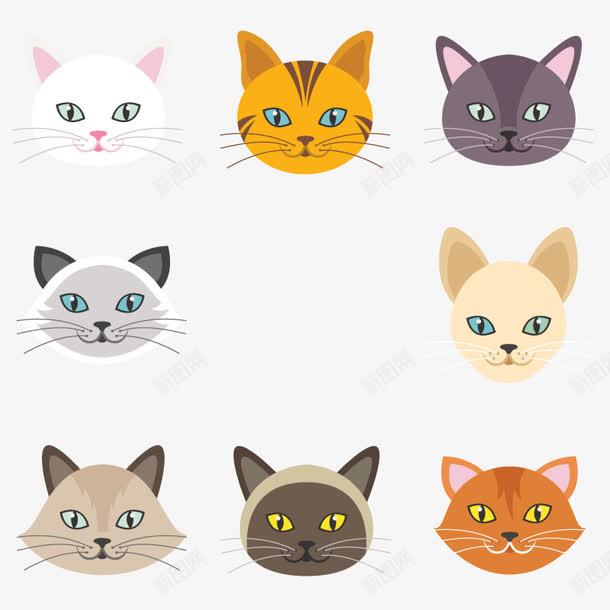 猫的头像页面网页平面电商创意素材宠物猫素材