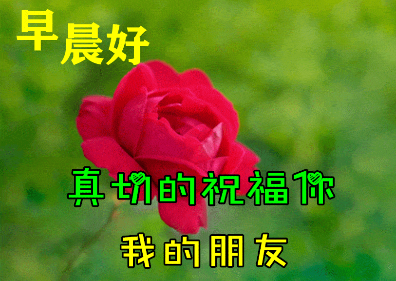 8月4日最漂亮早上好动态表情图片大全,早上好动图美图大全
