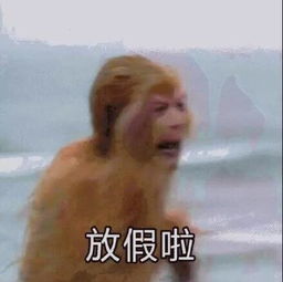 适合放假时使用的表情包合集在哪里老子放假了
