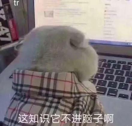 学费80万却只能云留学,疫情下留学生的苦与乐