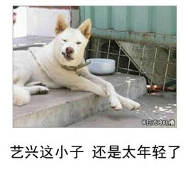 11区连个科普书都能如此工口
