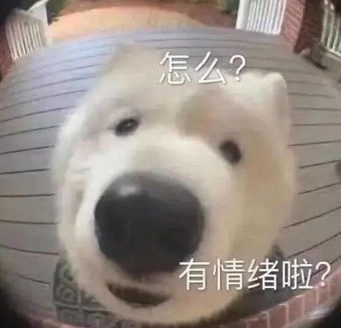 流失客户父母折寿3年职场pua不够开始上诅咒