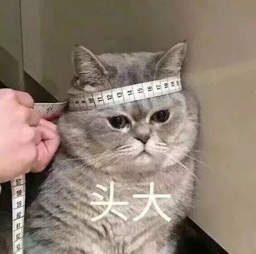 惨遭真人化的10部动漫,最后一部也太丧心病狂了吧