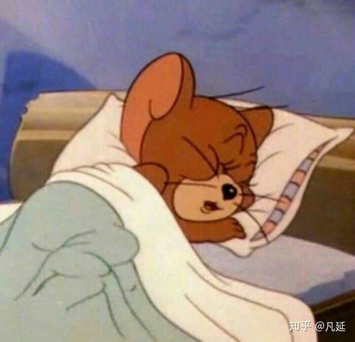 有没有一只猫和一只老鼠的情侣头像