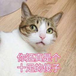 快手最火头像男生潮流霸气不讲道理向来以有趣服人