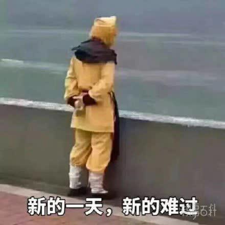 沙雕表情包更新嘘寒问暖不如打笔巨款