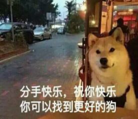 七夕段子搞笑图片表情包七夕段子单生狗系列图片表情