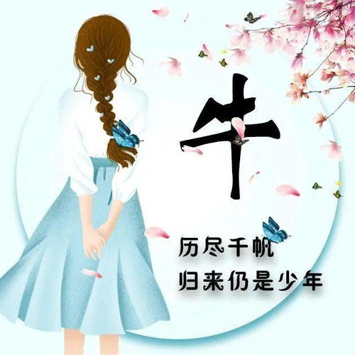 42张姓氏微信头像历尽千帆,归来仍是少年