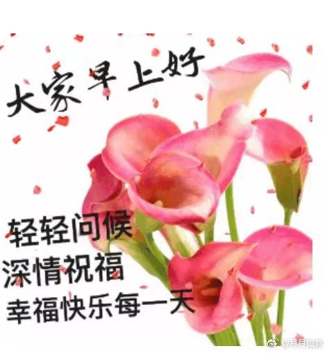 要有一颗干净的心,善良的心,诚实的心,有一颗懂感恩的心,早安