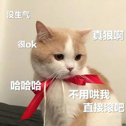 表情包丨挂了,晚安喔