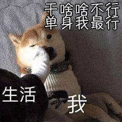 沙雕表情包干啥啥不行,单身我最行