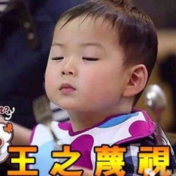 明星搞笑表情包生孩子