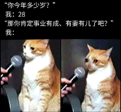 搞笑趣图人是铁,范儿是钢,一天不装憋得慌