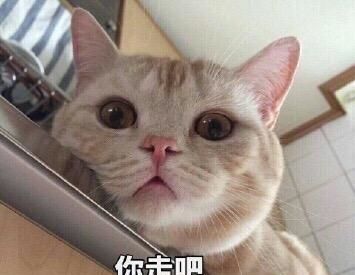 搞笑段子这世界上,龙居然真的存在过结尾让人笑喷