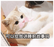 晚安表情包