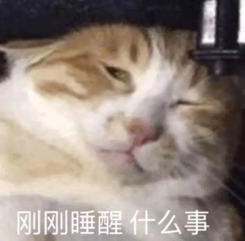 搞笑小表情表情