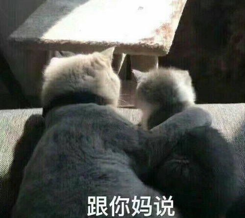 开心一刻笑话和男朋友吃饭,他一直给我夹肉