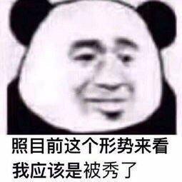 熊猫头表情包不说晚安了,我要和你一起睡觉