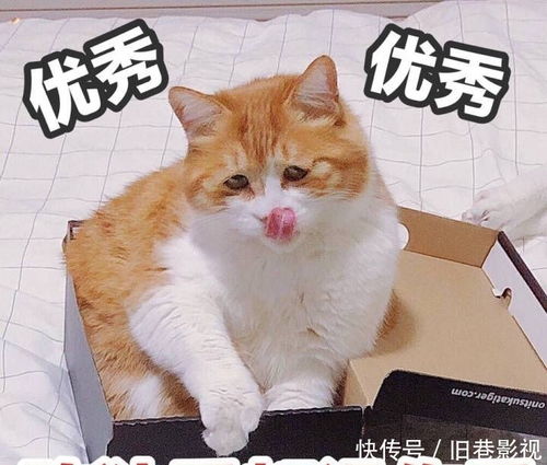 搞笑超逗的表情包,是不是忘了自己没钱了