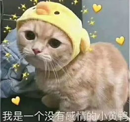 你对大学的专业都有什么误解