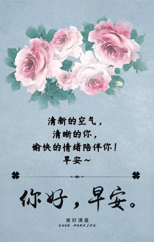 新年祝贺词,冬季早上好问候语幽默,早上好表情美图