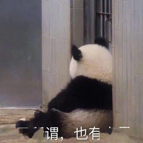 沙雕表情包摆地摊秘籍