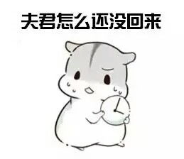 仓鼠表情包老婆说的都对