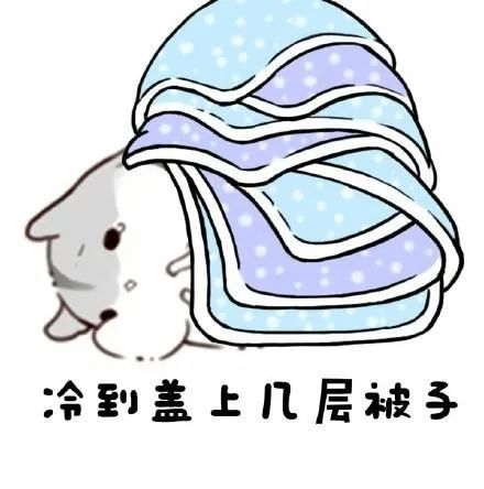 天气冷表情包,金馆长搞笑表情