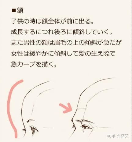 成人与老人头像区别画法讲解