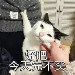 这些皮肤不会加入23号的ig半价福利,全部都很好看
