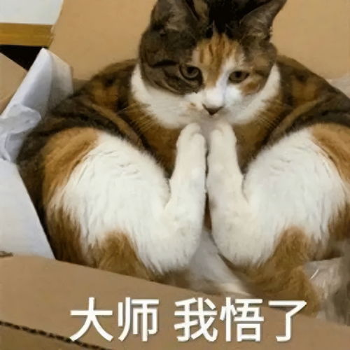 大师说,房贷是最好的修行