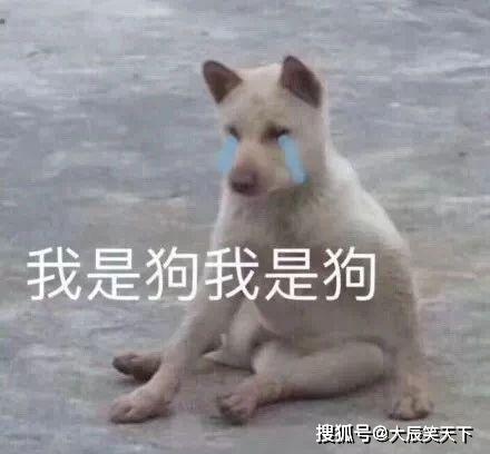搞笑段子发朋友圈到时候,遇到什么让你无语的评论