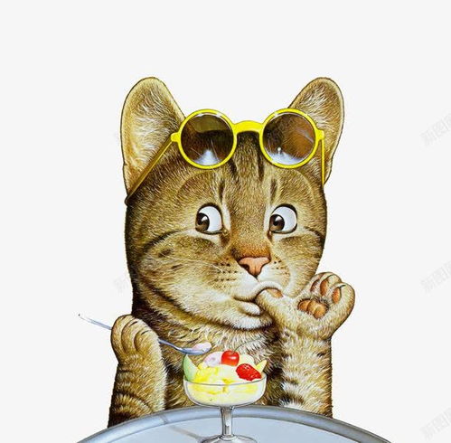 卖萌的猫咪卖萌素材