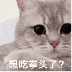 好笑吗一天到晚哈哈哈哈哈丨第207期猫咪表情包