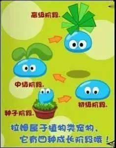爷青回摩尔庄园回归,承包珠海大孩子们的专属快乐