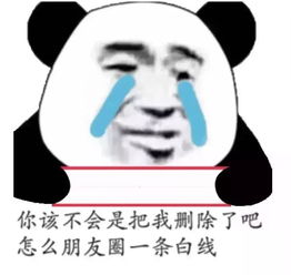 表情包丨今日份快乐源泉